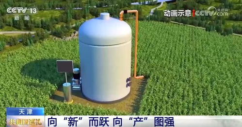 用二氧化碳造出淀粉 中国科技创新向 新 而跃 向 产 图强