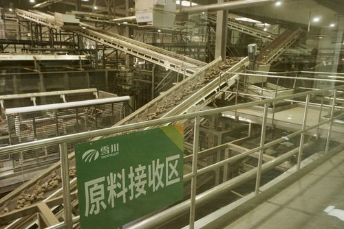 从种子到餐桌 税收政策红利为企业发展保驾护航