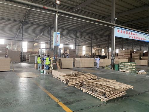 年产值超过700亿元 曹县庄寨镇板材加工企业超过1000家