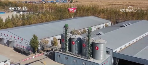 五谷丰登满廪仓 金秋喜看各地好 丰 景