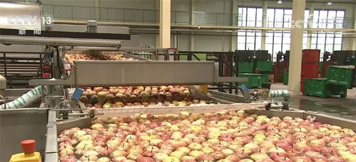 透过数字看收获 我国农业农村经济呈现稳中向好态势
