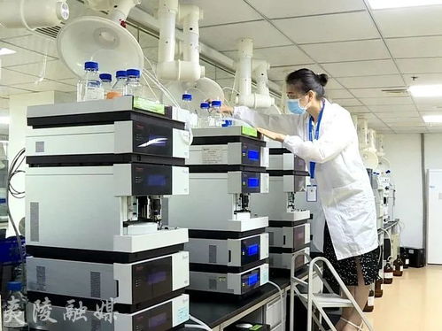 思想破冰引领突围 夷陵工业实现高质量发展