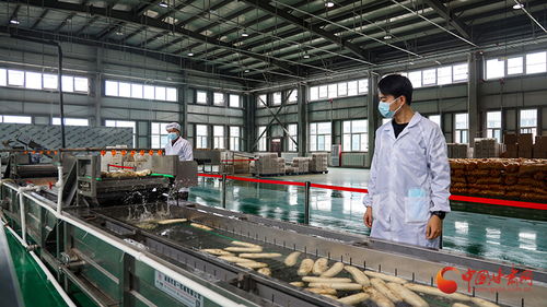 泾川农产品深加工企业与工业用冰加工订单生产繁忙