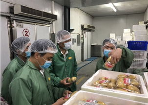 工业用冰加工 现代工业的隐形助手